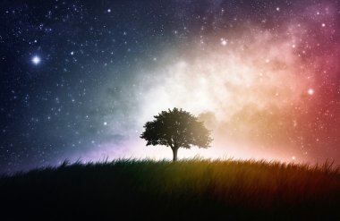 Single tree space background