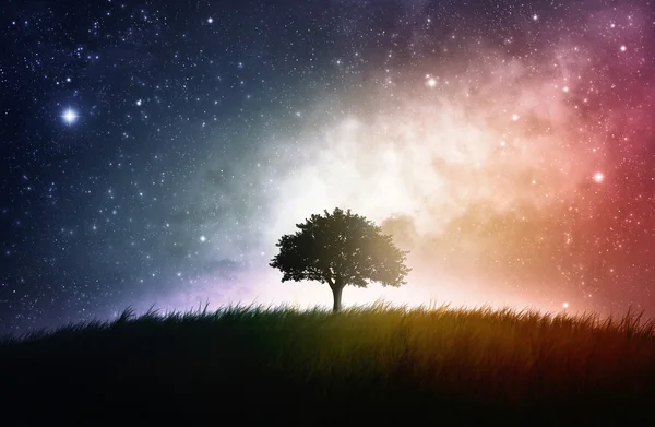 Single tree space background — Stock Photo, Image