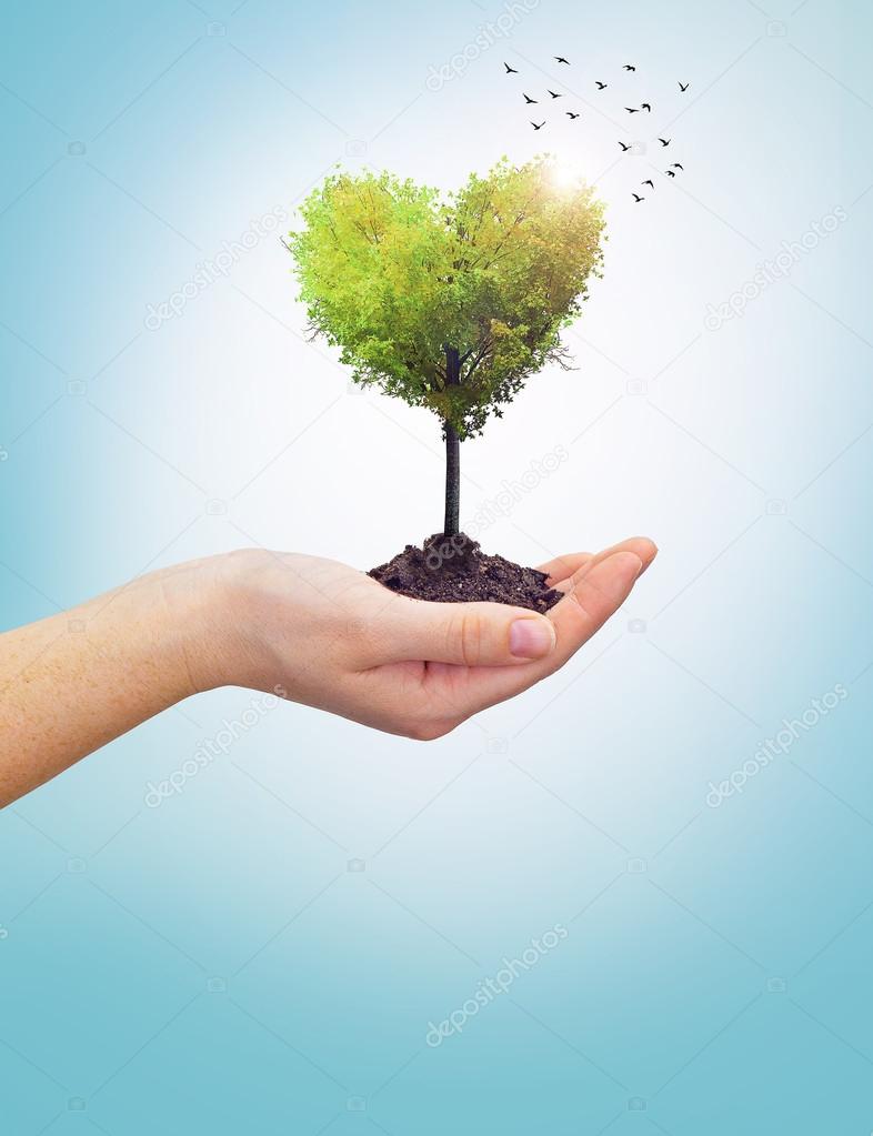 Woman holding tree in shape of a heart.