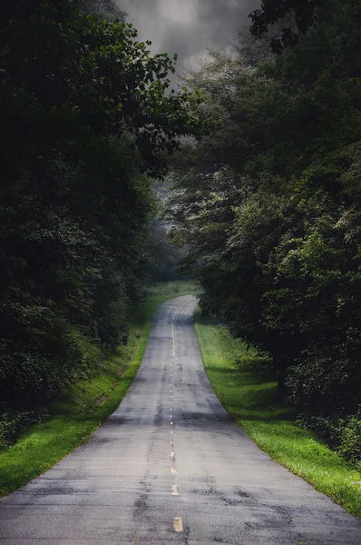 Route de tempête . — Photo