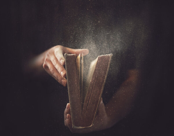 Старая пыльная книга
