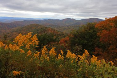 Panorama blue ridge Parkway Güz