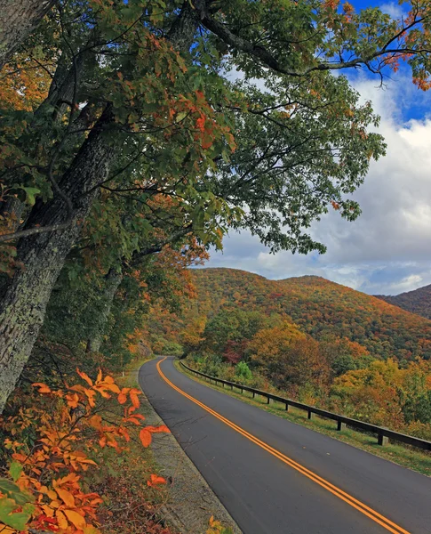 Panorama van de blue ridge parkway in de herfst — Stockfoto