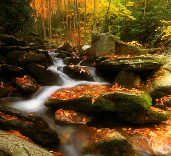Mountain stream — Stock Photo, Image