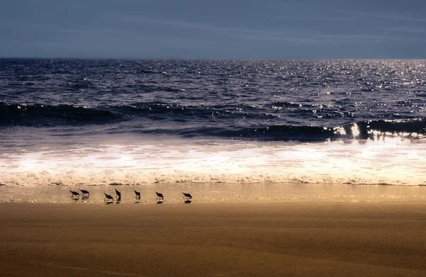 Piękne fale i piaszczystej plaży — Zdjęcie stockowe