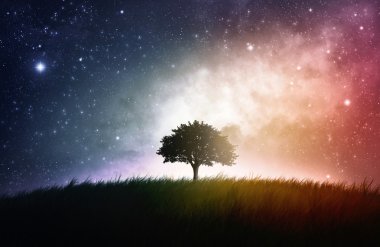 Single tree space background clipart