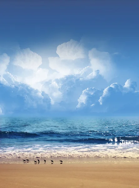 Güzel dalgalar ve kumlu plaj — Stok fotoğraf