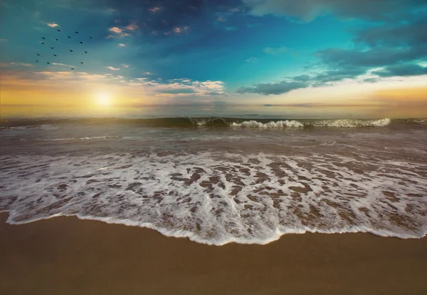 Belle plage coucher de soleil avec les eaux tropicales de l'océan . — Photo