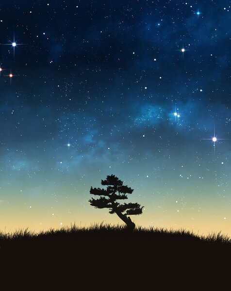 A single tree in a field with beautiful space background
