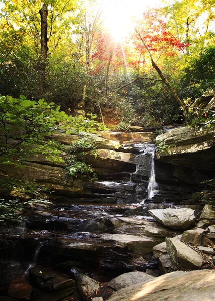 Mountain stream — Stock Photo, Image