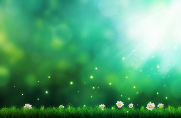 Grassy field flowers with bokeh and blurred background