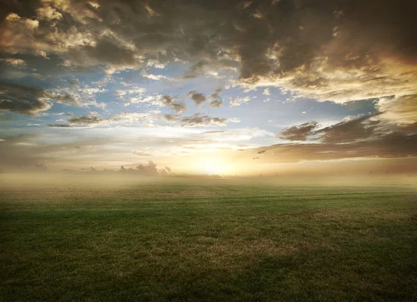 Gräsbevuxna fältet sunset — Stockfoto