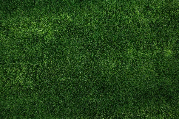 Golf sahasından güzel yeşil çimen dokusu — Stok fotoğraf