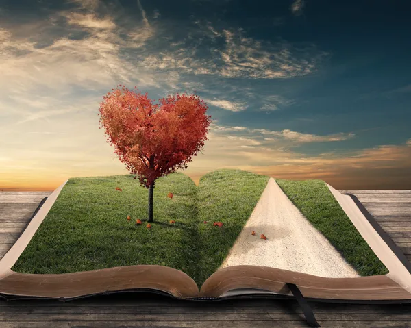 Árbol del corazón y libro — Foto de Stock