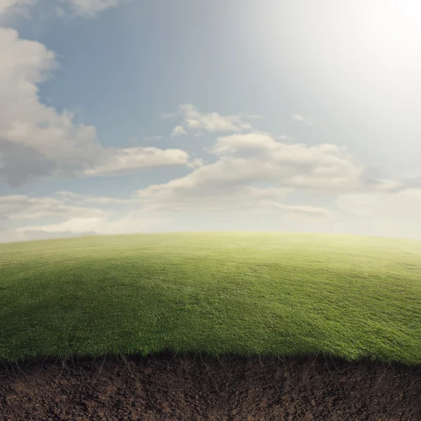 Grassy field underground — Stock Photo, Image