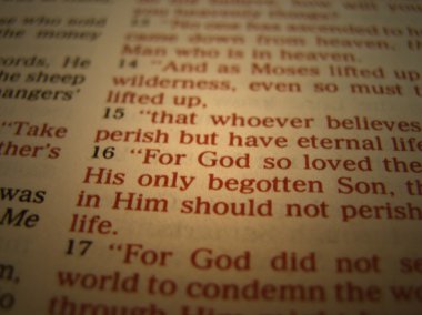 John 3:16