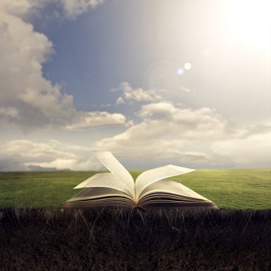 Open Bijbel op grond