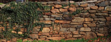 Sarmaşıklı taş duvar