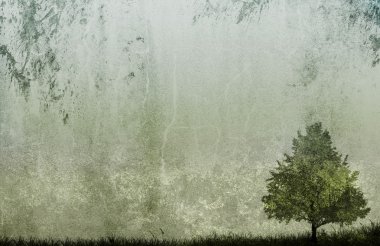 doku üzerindeki tek ağaç