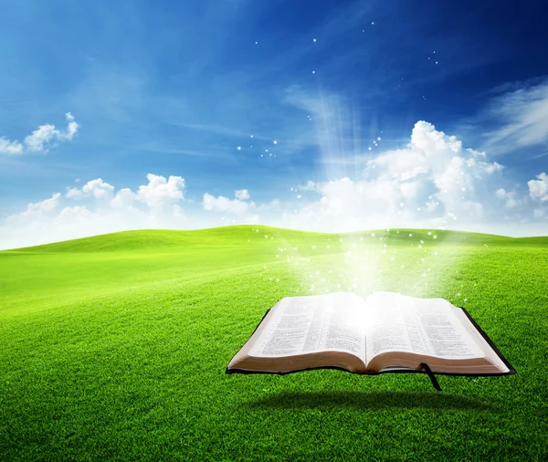 Floating bible in field — Stock Photo, Image