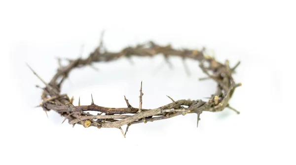 Crown of thorns. — Stock Photo, Image