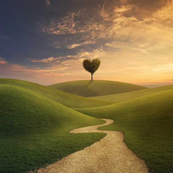 Corazón del árbol en la colina — Foto de Stock