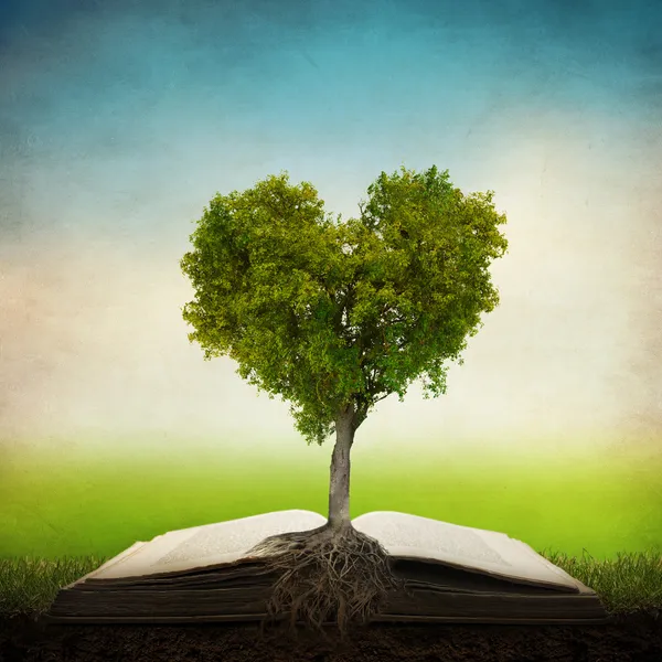 Strom ve tvaru srdce na otevřené knize — Stock fotografie