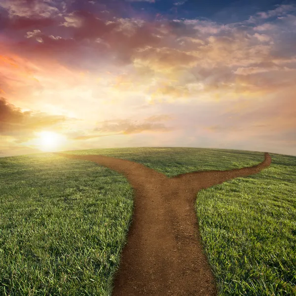 Pathway through the rolling grassy field — Stock Photo, Image