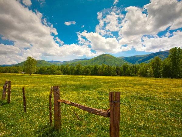 Prado da montanha — Fotografia de Stock