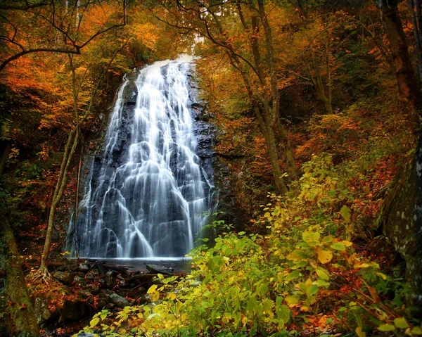 Podzimní vodopád — Stock fotografie
