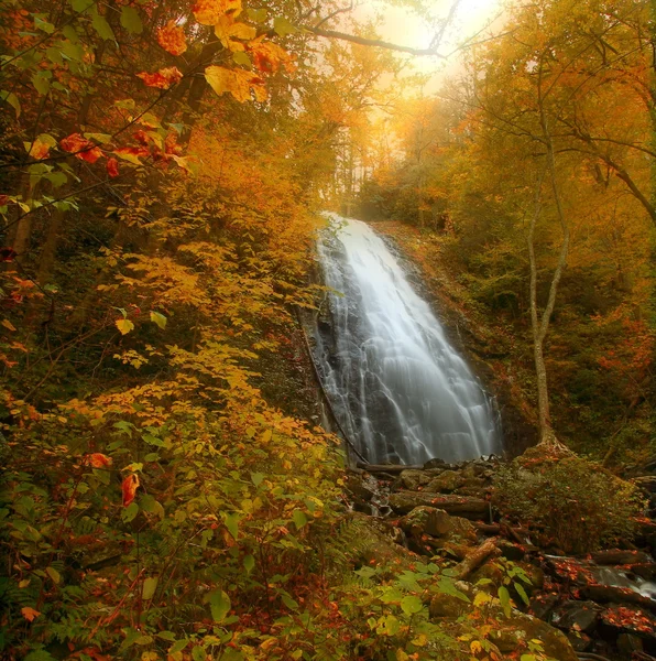 Cachoeira de outono — Fotografia de Stock
