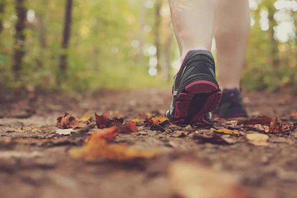 Mujer caminando por el bosque . — Foto de Stock