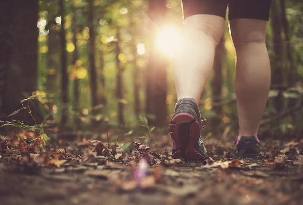 Donna che cammina attraverso la foresta — Foto Stock