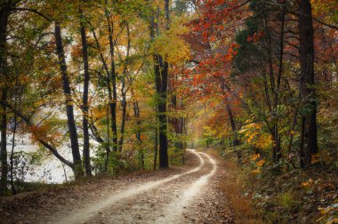 Autumn Pathway clipart