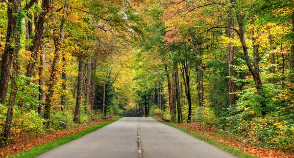 Strada autunnale — Foto Stock