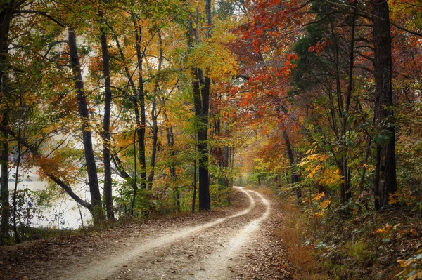 Jesień droga — Zdjęcie stockowe