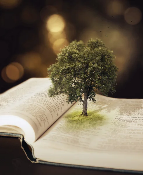 Drzewo w Biblii. — Zdjęcie stockowe