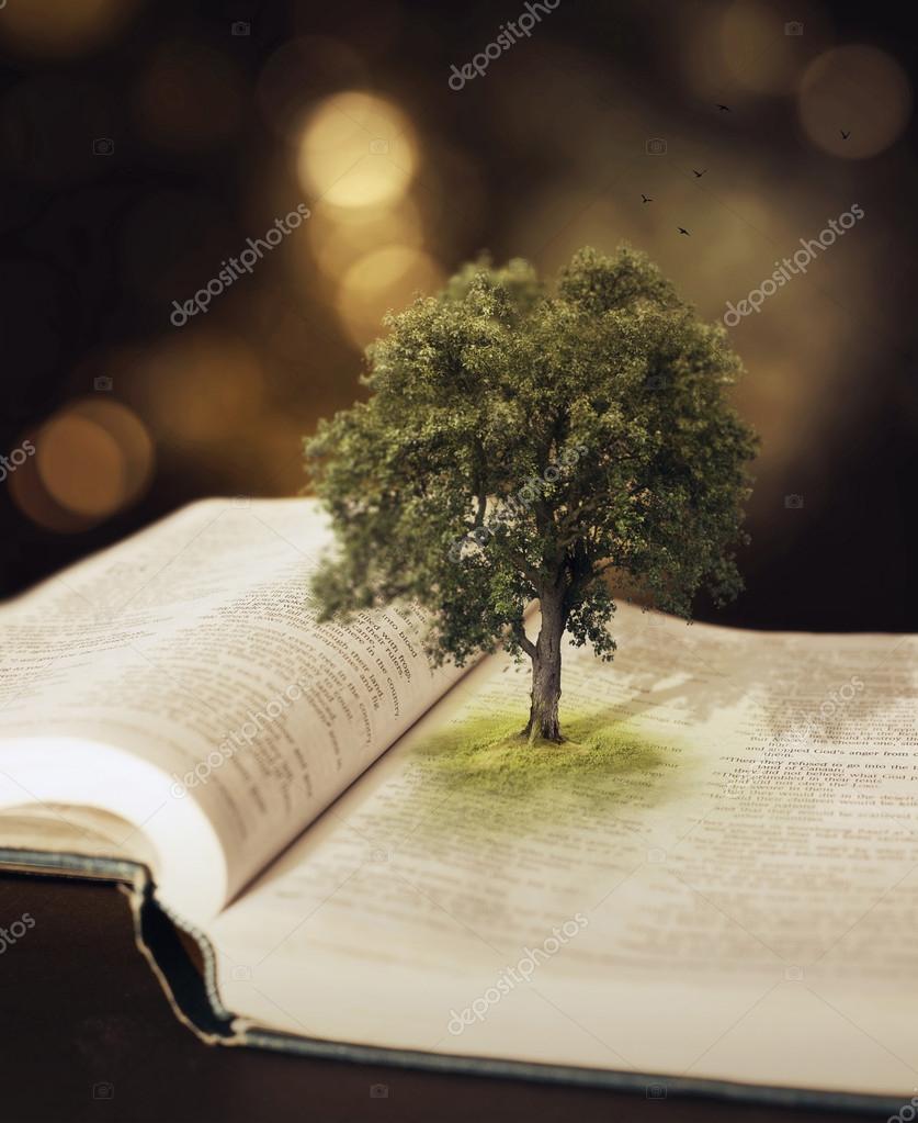 Tree in the Bible. — Stock Photo © kevron2002 34910205