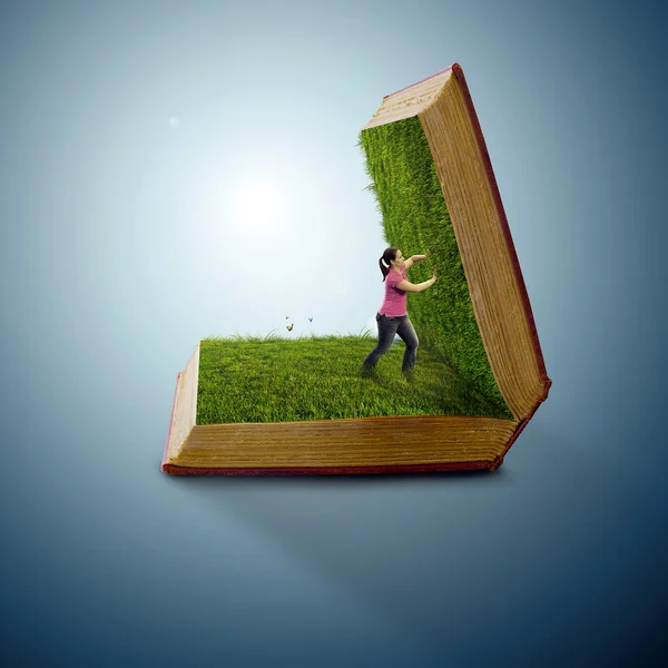 Трава книги — стокове фото