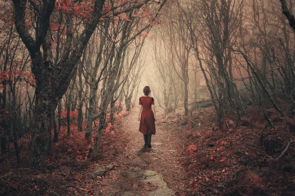 Vrouw en mistige bos. — Stockfoto