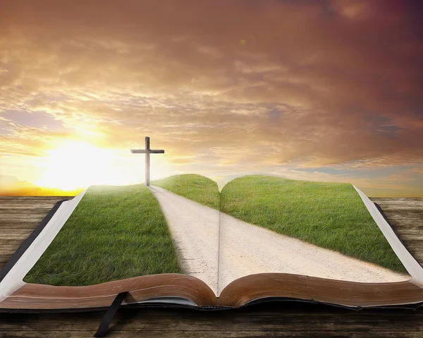 Biblia abierta con camino . — Foto de Stock