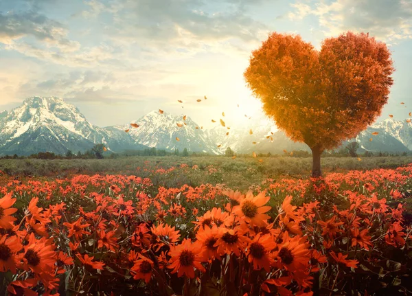 Uma Bela Árvore Forma Coração Num Campo Flores Vermelhas — Fotografia de Stock