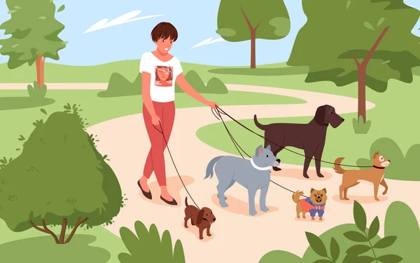 Vrouw wandelen met vele honden rassen samen in stadspark, meisje puppy eigenaar of vrijwilliger — Stockvector