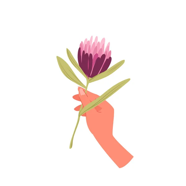 Рука женщины, держащей элегантный розовый цветок, девушки руку с одним свежим нежным растением — стоковый вектор
