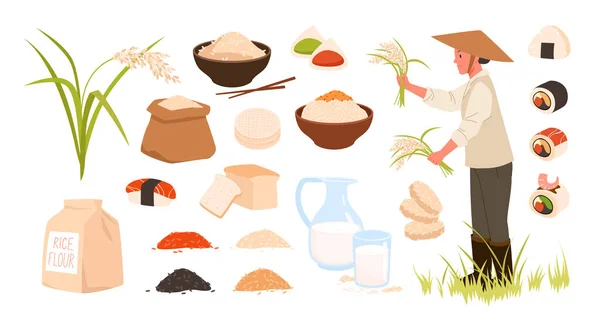 Conjunto de arroz crudo y cocido, productos y plantas de arroz, ingredientes y recolección de comidas — Vector de stock