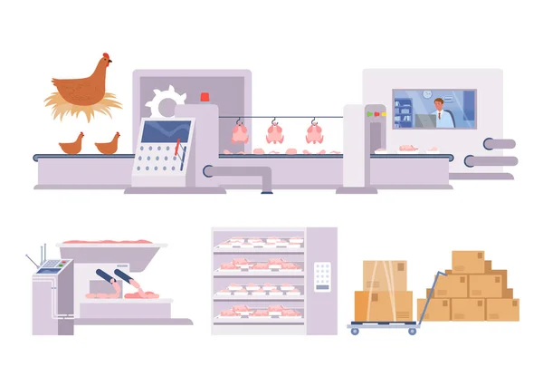 Producción de pollo, línea de fábrica con maquinaria, cadena infográfica de la industria alimentaria — Archivo Imágenes Vectoriales