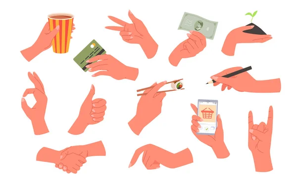 Az emberi kéz különböző gesztusokkal és tárgyakkal pózol, a női és férfi kar tartja a telefont — Stock Vector