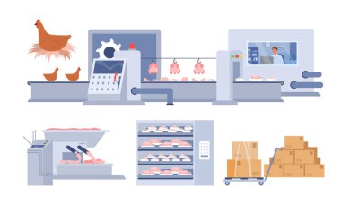 Mezbahaya ait bilgi zinciri, hayvan eti işleme, soğutma deposu, dağıtım yassı vektör çizimi. Yiyecek endüstrisi konsepti. Tavuk üretimi, makineli fabrika hattı.