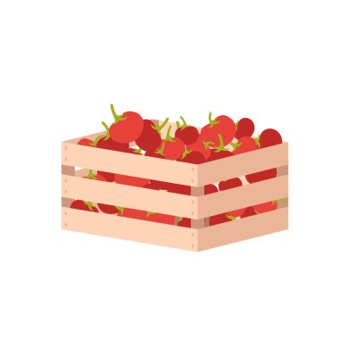 Domates ahşap sandığı, taze çiftçi hasadıyla izometrik kutu, sebze konteynırı.