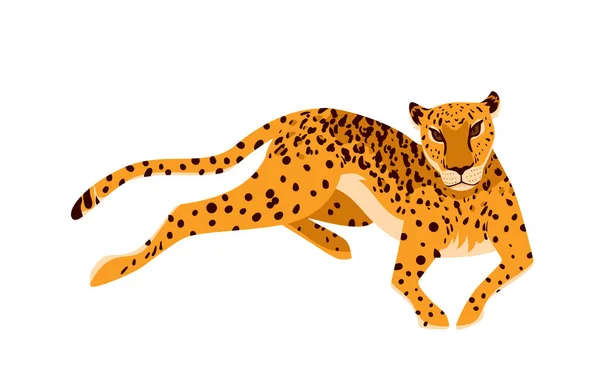 Léopard, prédateur exotique africain, portrait d'un animal sauvage élégant du zoo ou de la jungle tropicale — Image vectorielle